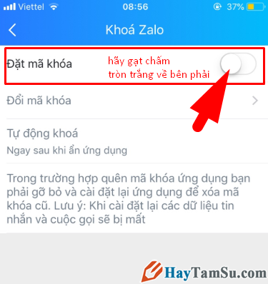 Hướng dẫn đặt mật khẩu cho ứng dụng chat Zalo trên iPhone + Hình 7