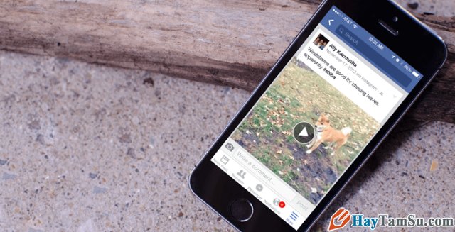 Hai cách tải Video từ Facebook về điện thoại iPhone, iPad + Hình 2
