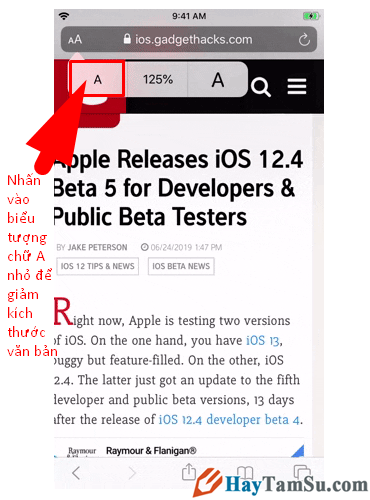 Tăng - Giảm size văn bản cho web Safari trên iOS 13 + Hình 9